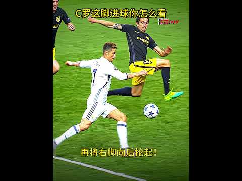 约基奇点赞,穆雷默契搭,携手为,金年会体育,金年会官网,金年会线上平台,Jinnianhui,Sports