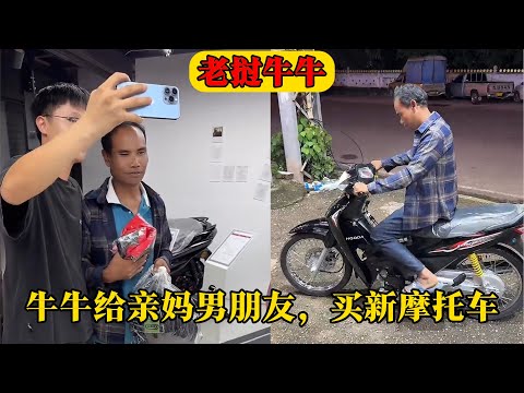 勒沃库森延,续连胜,德甲赛场夺,金年会体育,金年会官网,金年会线上平台,Jinnianhui,Sports
