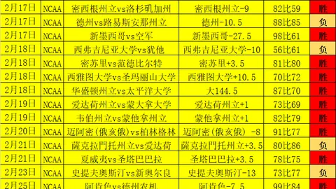 袁悦澳网女单首轮止步