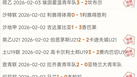 多国斥责美国对加沙地带“接管”表述